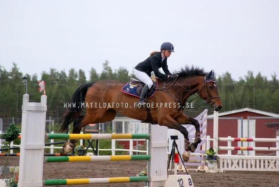 Baron de Ley (36)