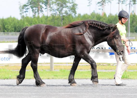 Rasputin (60)