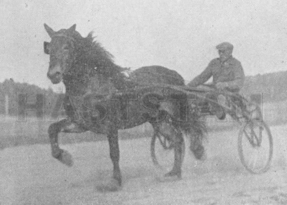 Sverker