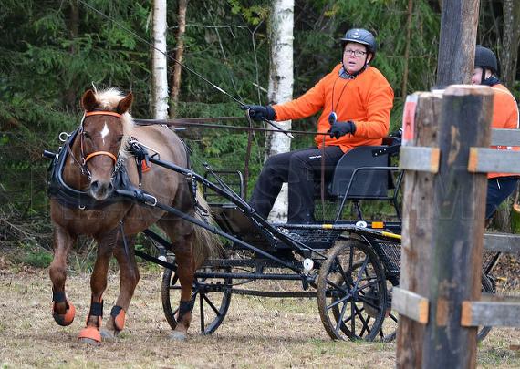 Tira från Sörälvsjö