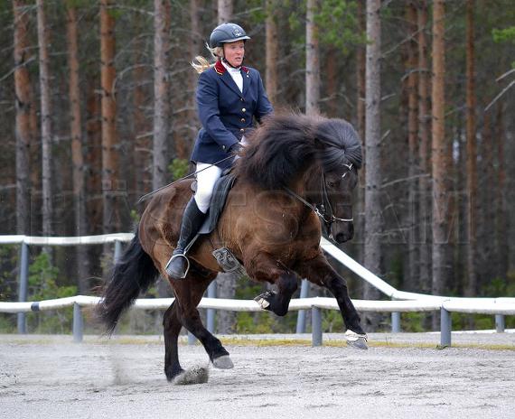 Reimar från Stensäter