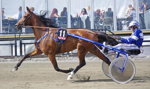 Dodo de la Sable (NL)