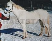 Pascha