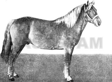 Gremuchij