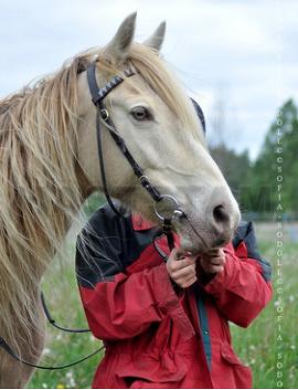 Hallona