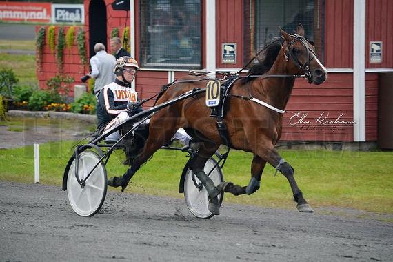 Höwings Star