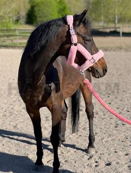 Prins Valiant