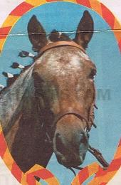 Athos