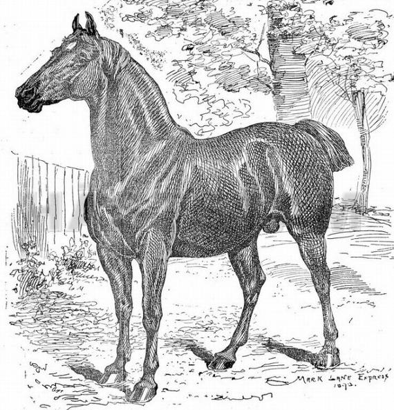 Confidence - Moore's