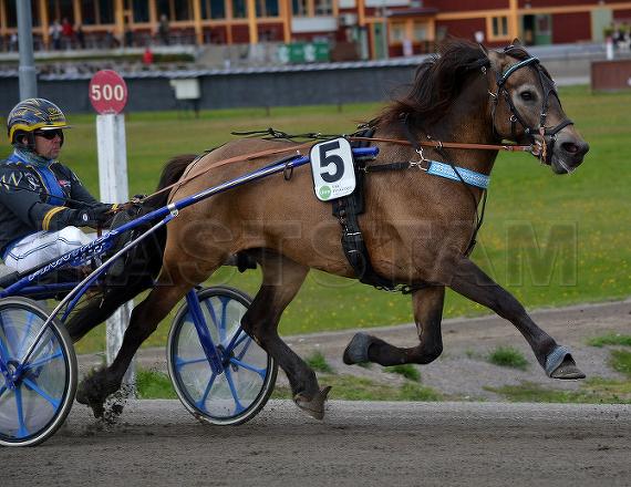 Höstbo Sune