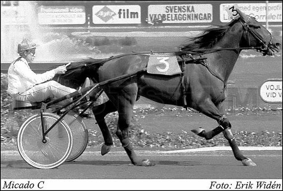 Micado C.