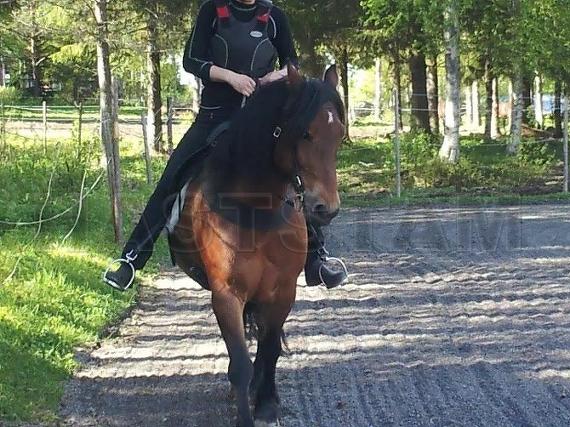 Månfrigg
