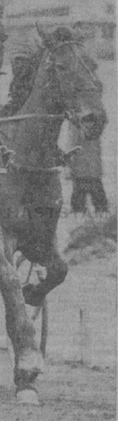 Mary Olga