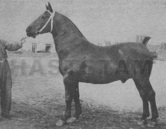 Kasimir