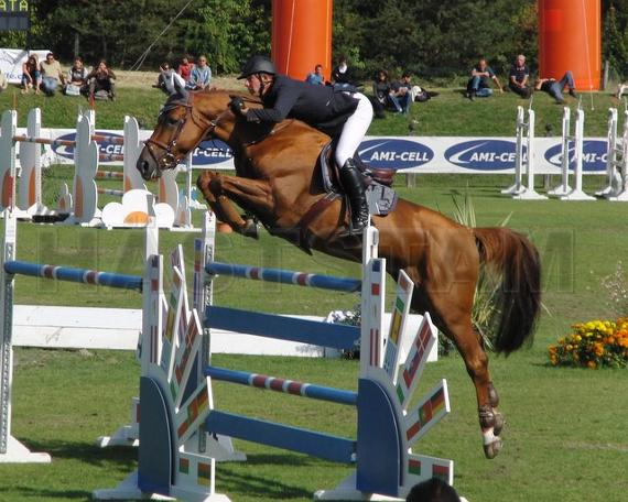 Winsome van de Plataan