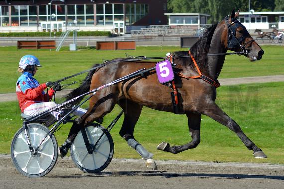 Gun Runner