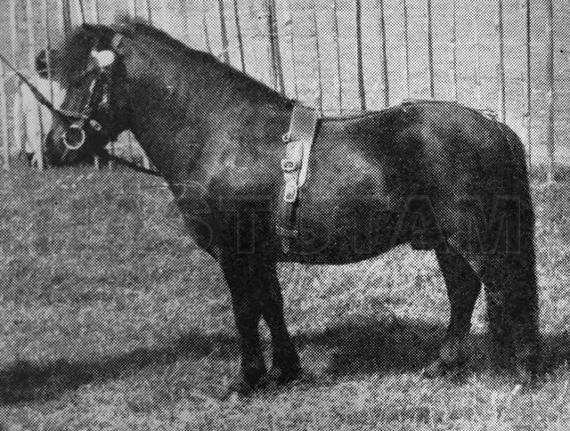 Kirkbride Denholm