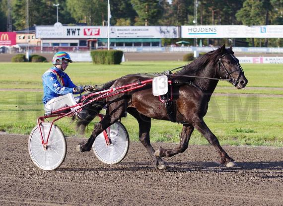 Fina Solpiraten