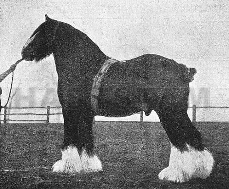 General of Hothfield
