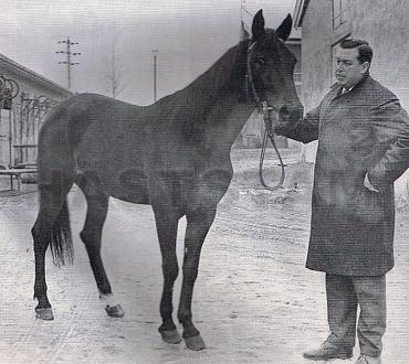 Eldrid H. (NO)