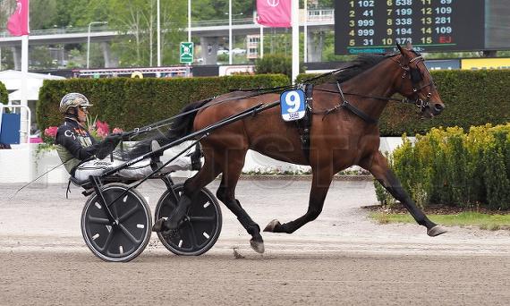 Jubii Vang (DK)