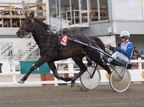 Vilde Skift