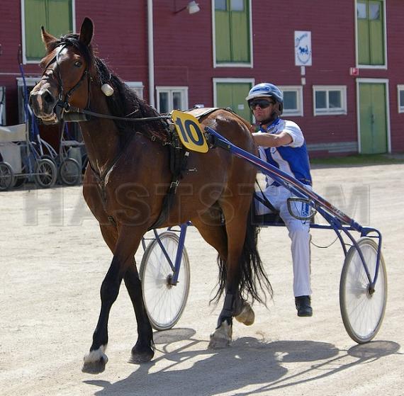 Stjärntindra