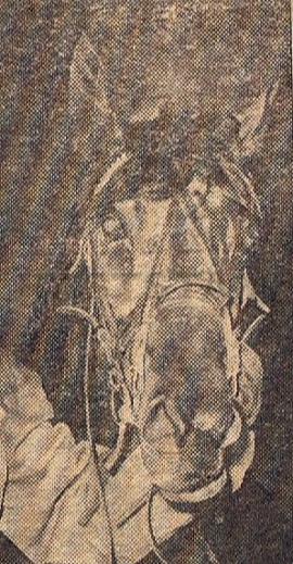 Middlebrook Maid (US)