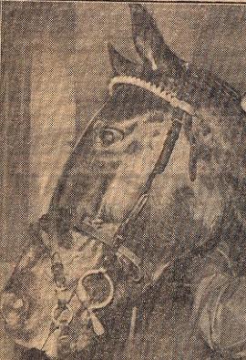 Mykhene