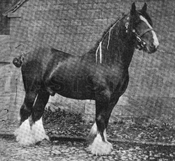 Lockinge Manners