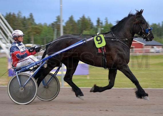 Snonsöy Elda (NO)