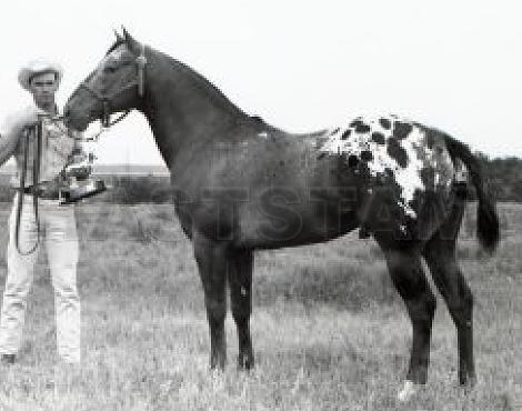 Navajo Britches