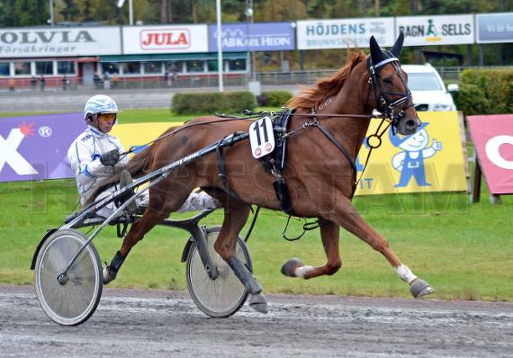Västerbo Prestige