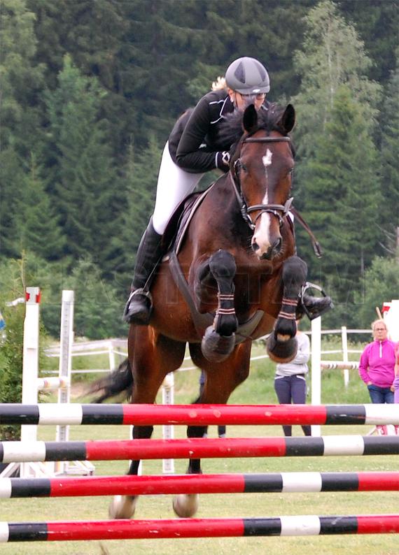 Lars L