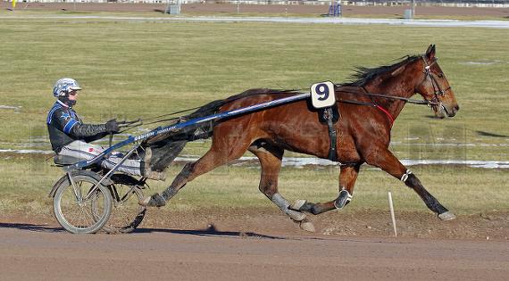 Quel Bourbon (US)
