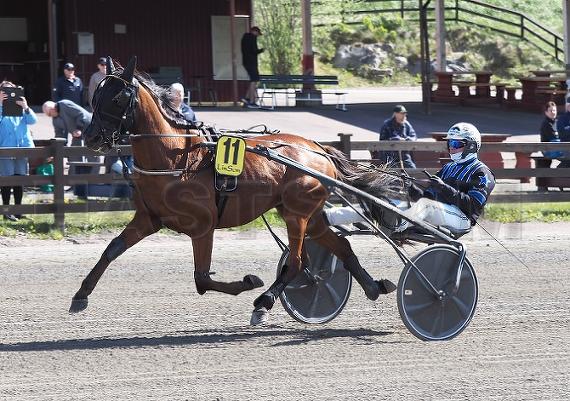 Max Pace