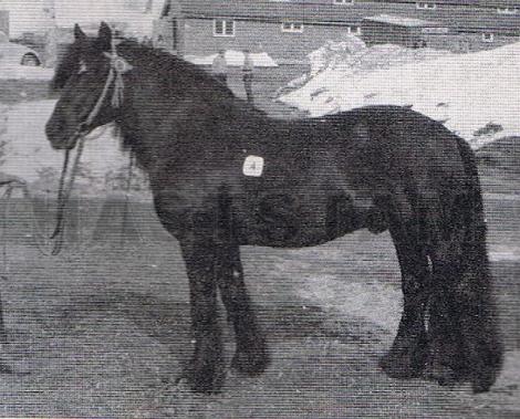 Ringar