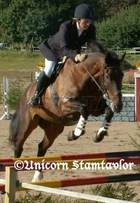 Champion (31)