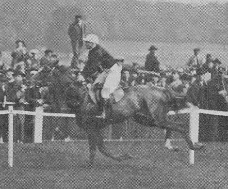 Fastnet xx