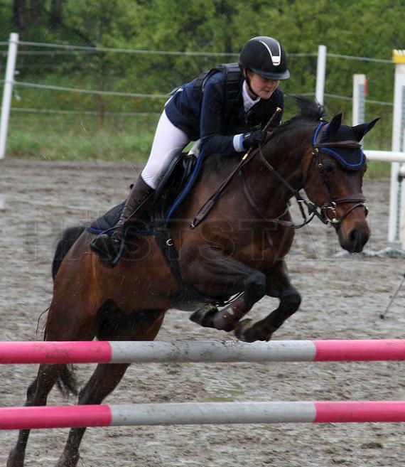 Lintrupgaard Memory