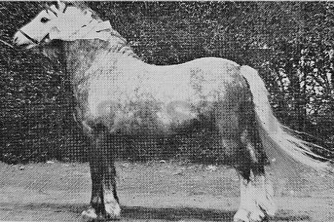 Monnow Paper Boy