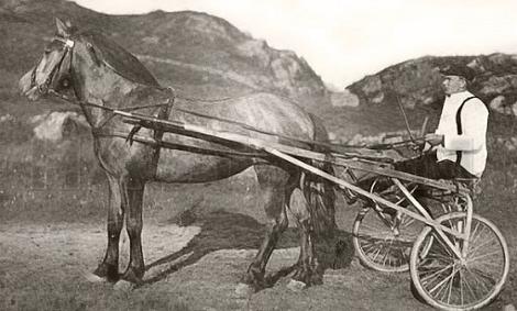 Blåmyra (NO)