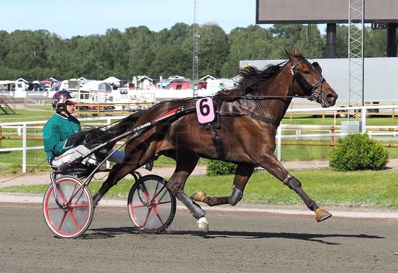 Stens Cullinan