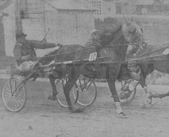 Ramon Dillon