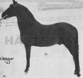Lippitt Mint Don