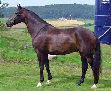 Douglas KS (71)