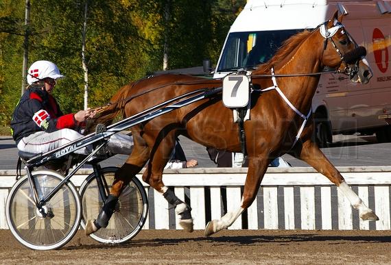 Grimaldi (DK)