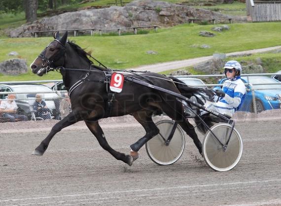 Solli Viking (NO)