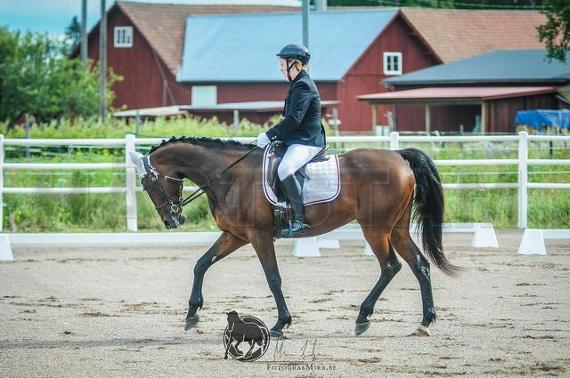 Spring Surprise