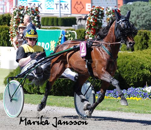 Galax Trot